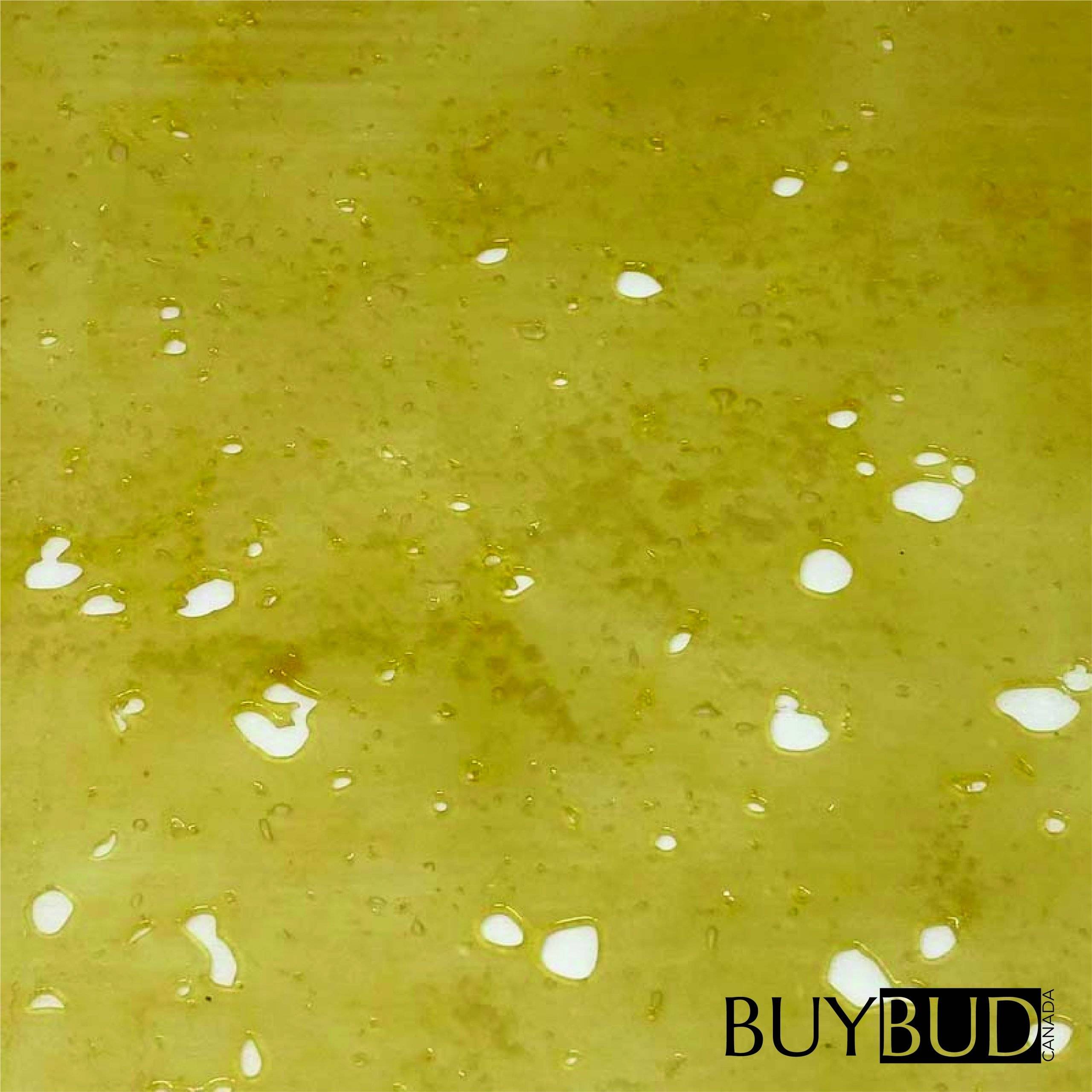 Durban Poison Shatter