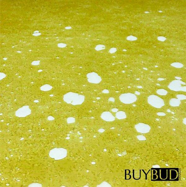 Northern Lights Shatter