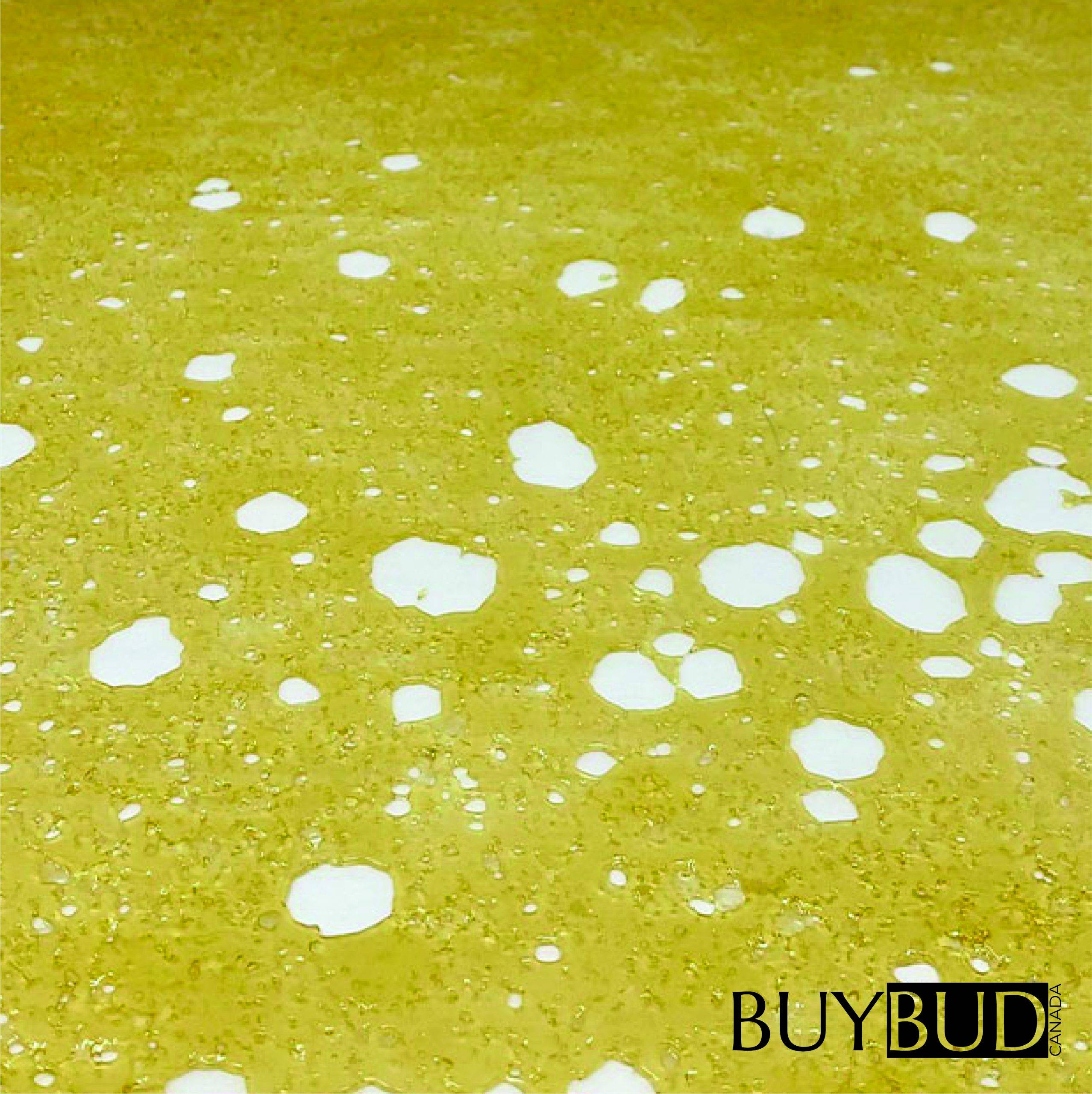 Northern Lights Shatter