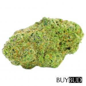 bruce banner cannabis