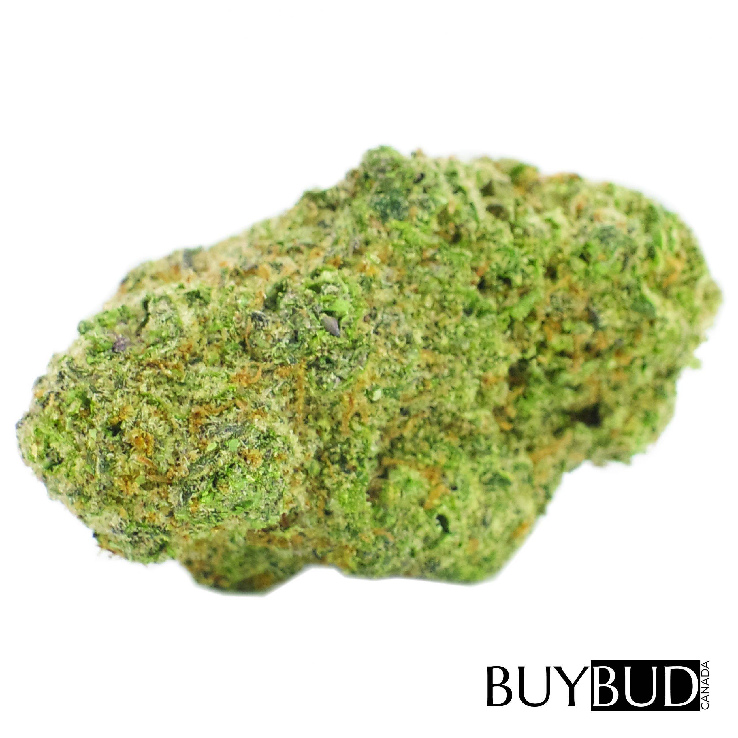 bruce banner cannabis