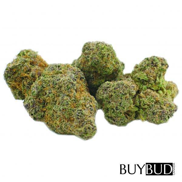 Bruce Banner - Image 2