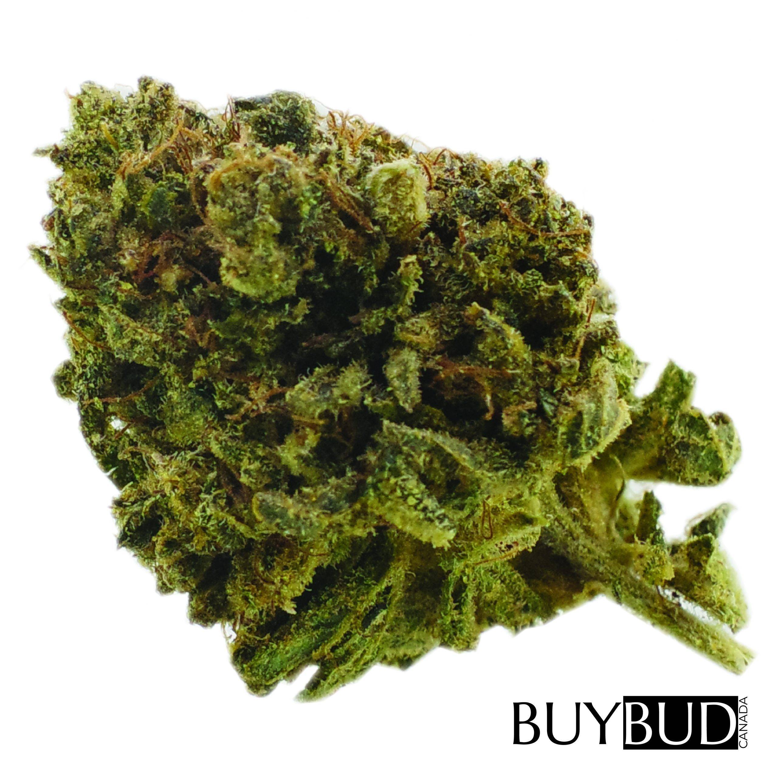 forbidden fruit cannabis
