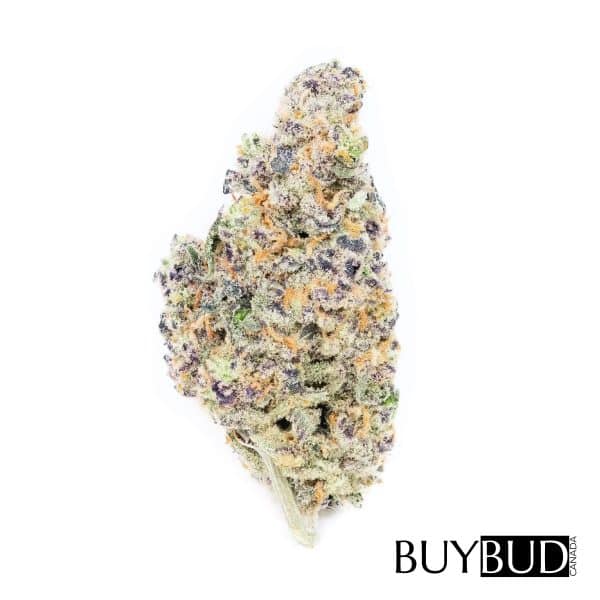 Ghost Train Haze cannabis