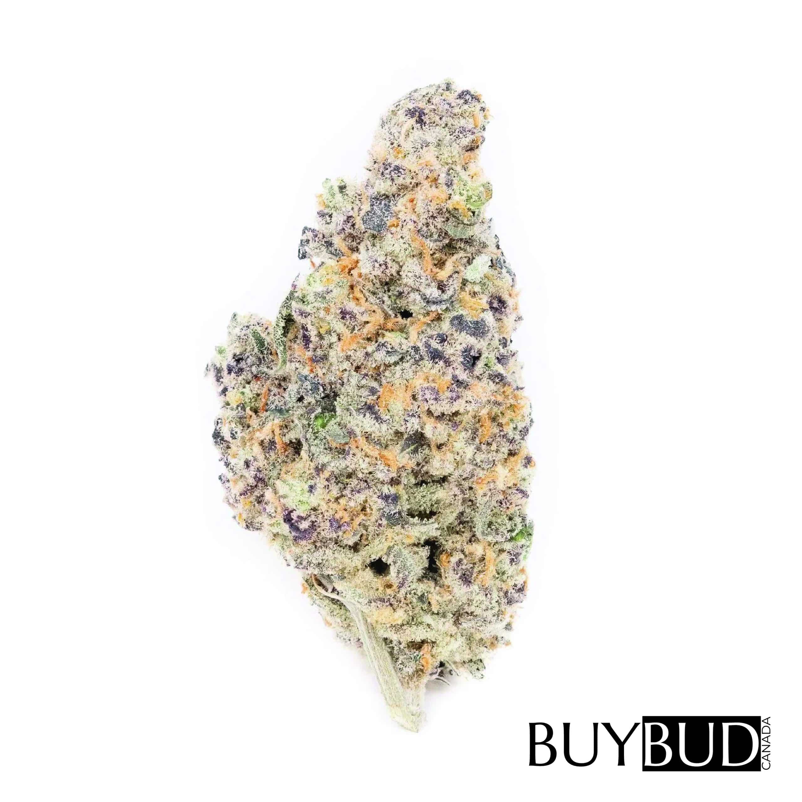 Ghost Train Haze cannabis