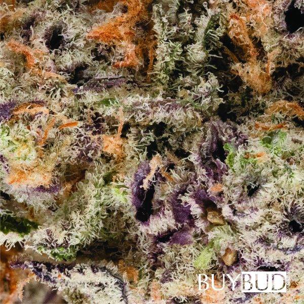 Ghost Train Haze - Image 2