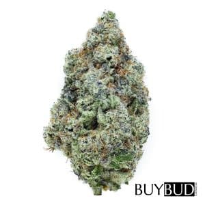 Green Crack