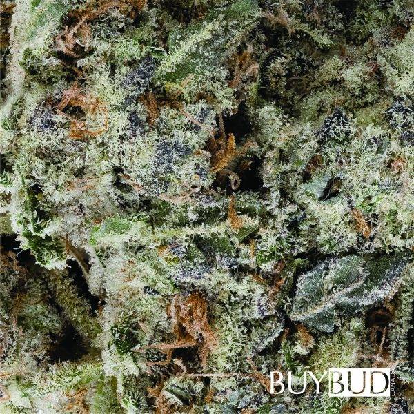 Green Crack - Image 2