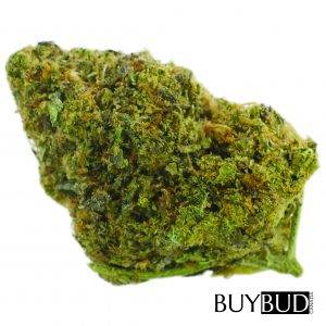 headbanger cannabis