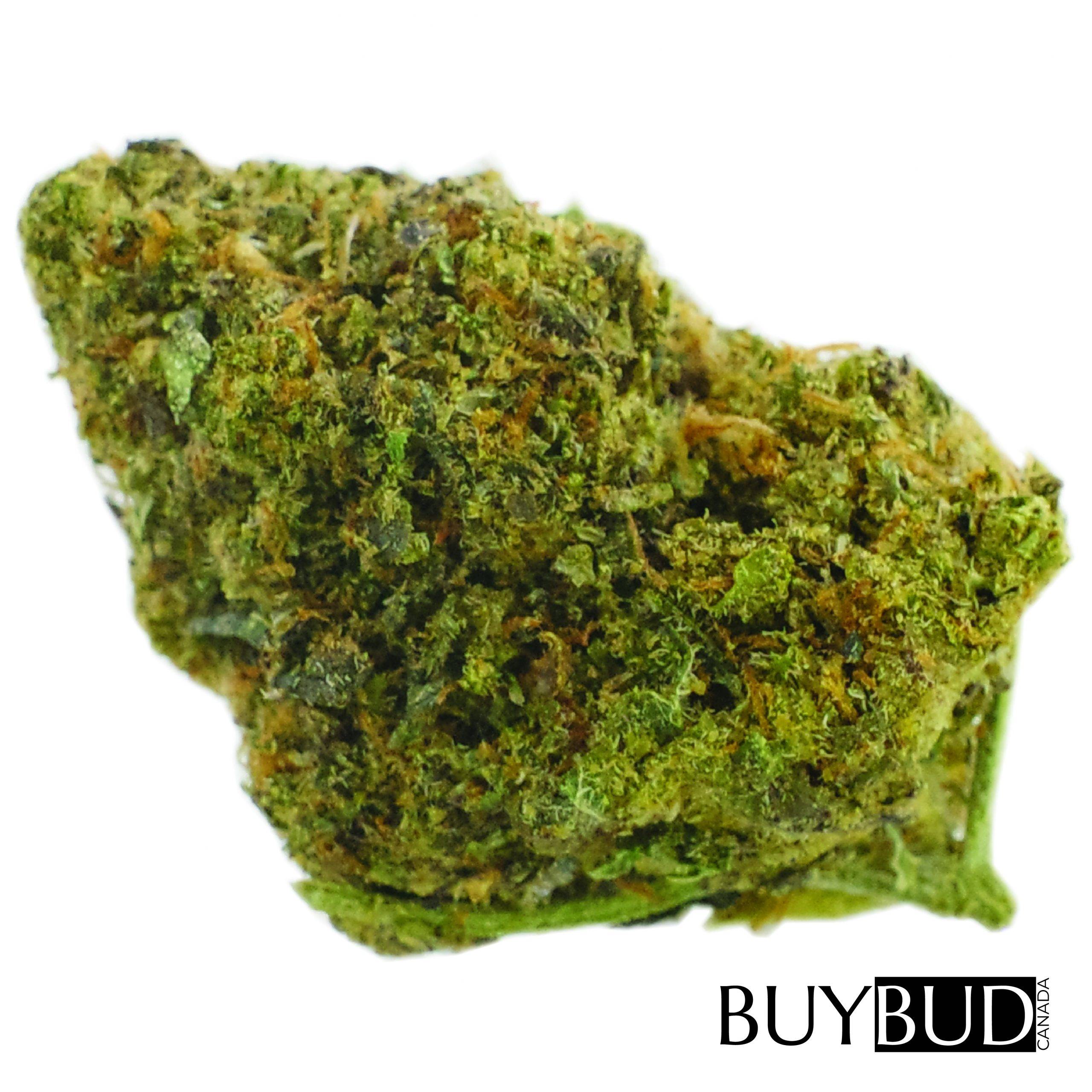 headbanger cannabis