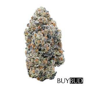 nuken cannabis