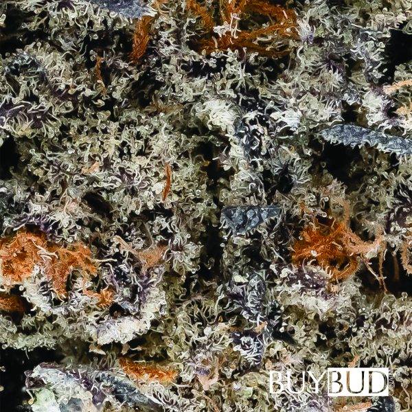 nuken cannabis