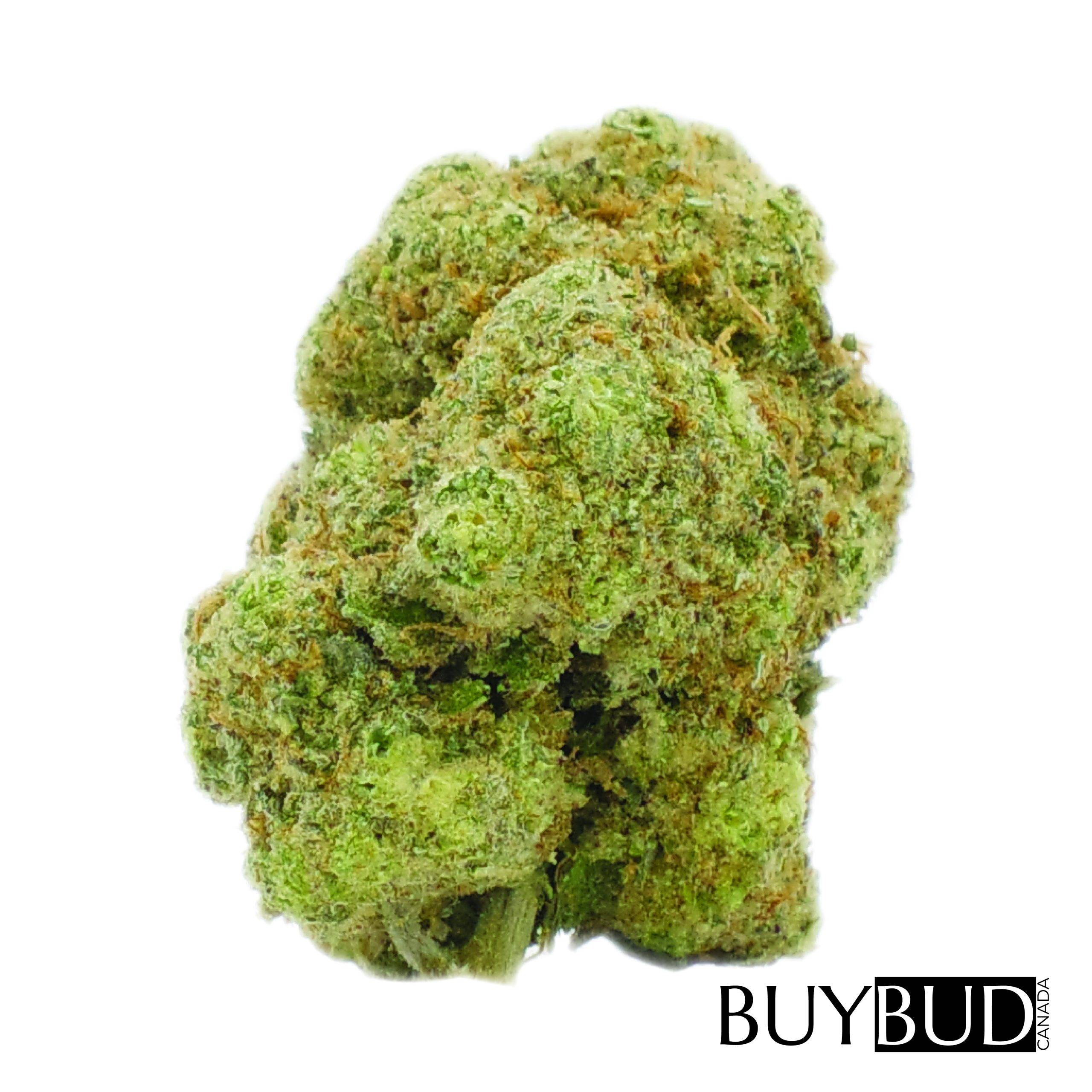 Peyote Cookies cannabis