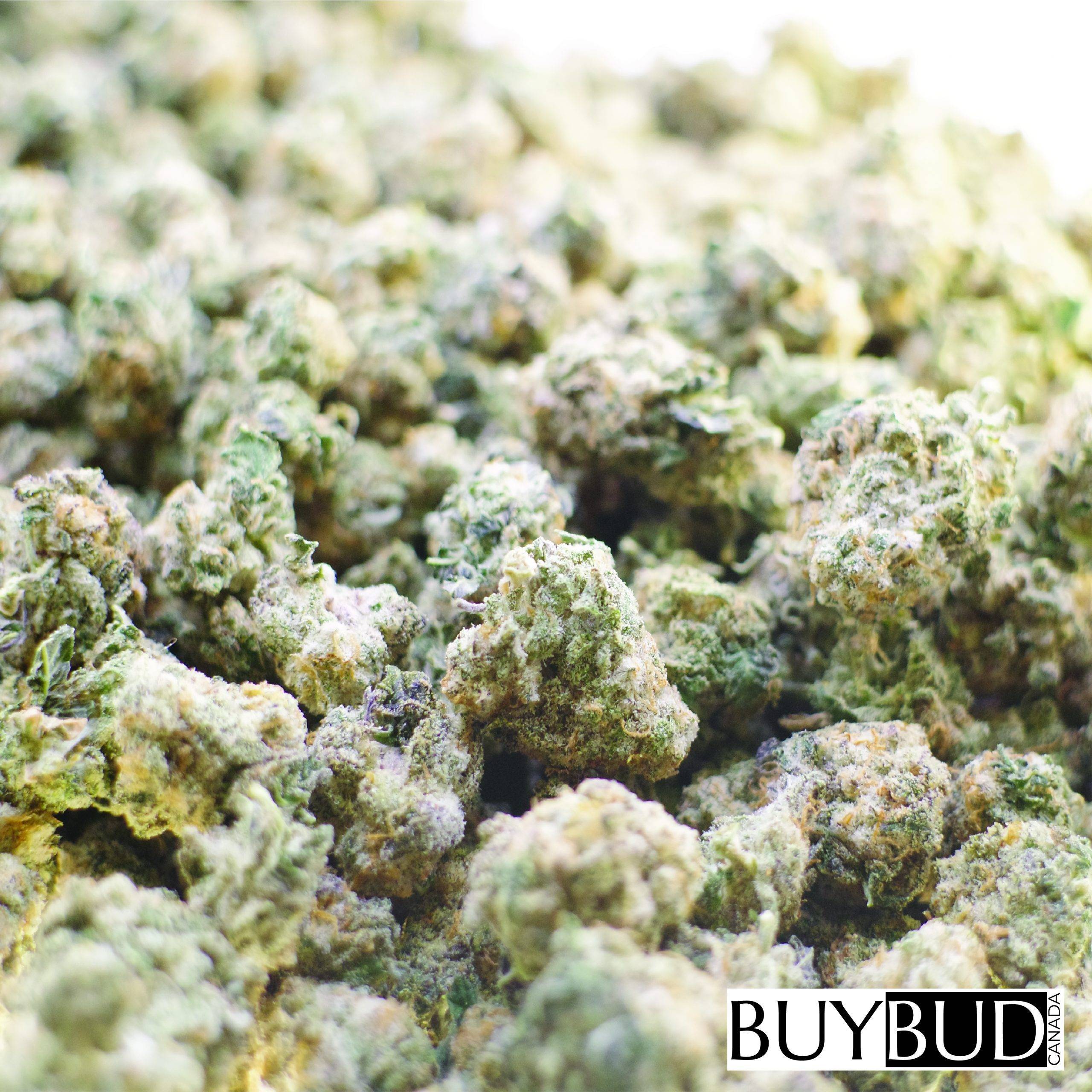 romulan popcannabis