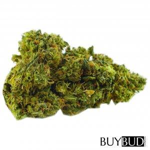 runtz cannabis