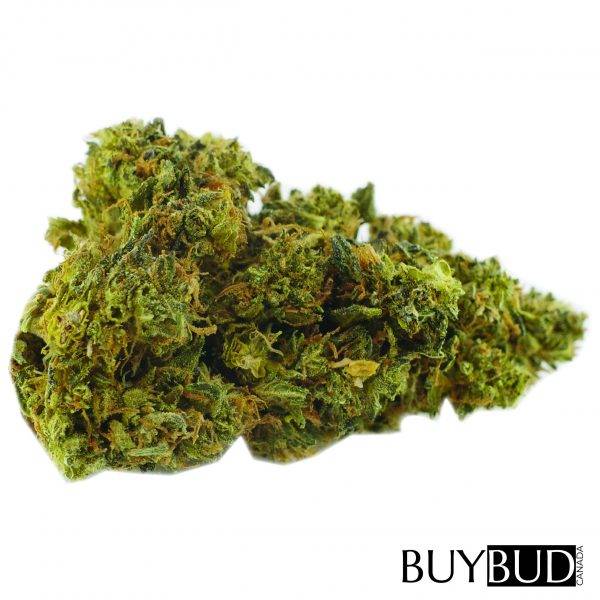 runtz cannabis