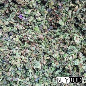 Hindu Kush Shake