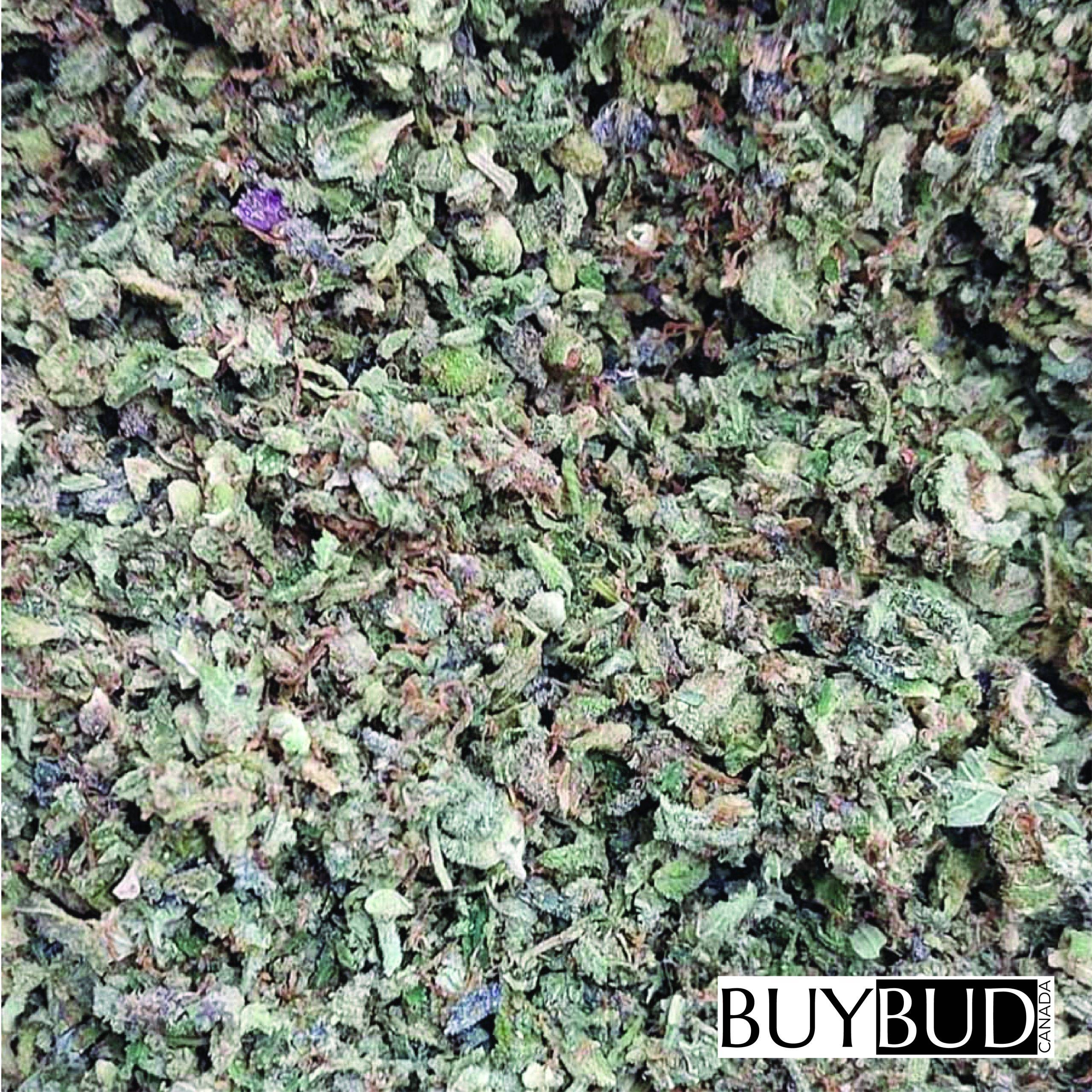Hindu Kush Shake