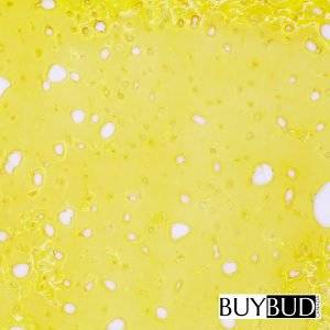 Gorilla Glue