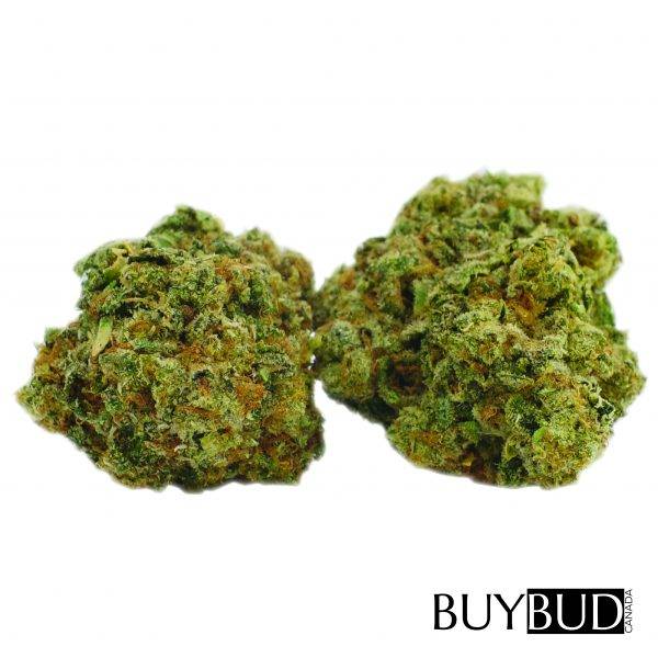 sour kush