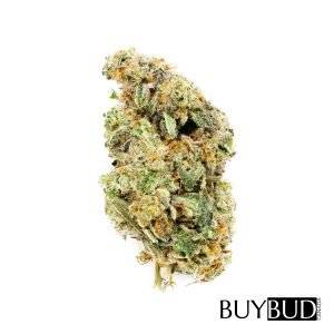 Strawberry Cough Cannabis