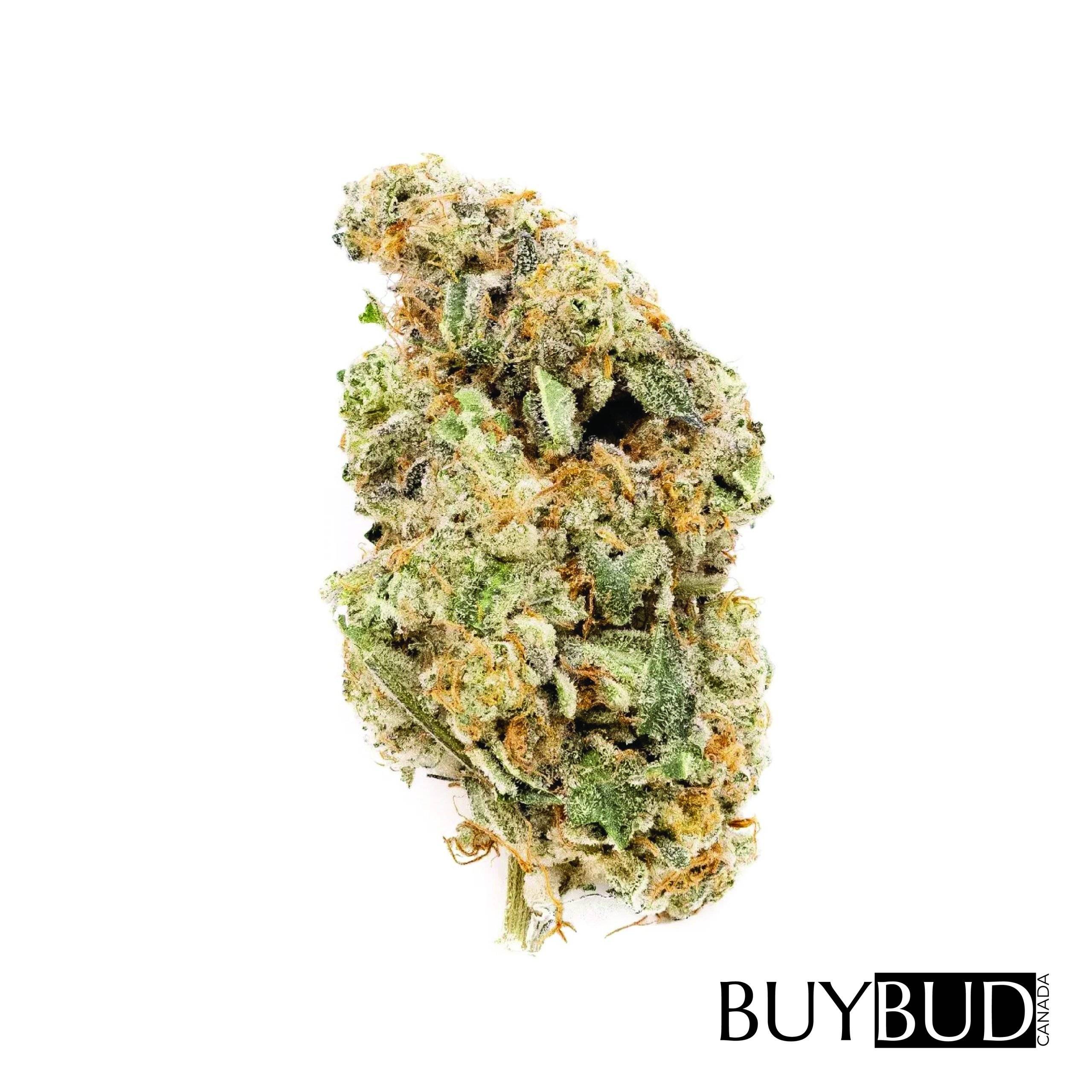 Strawberry Cough Cannabis