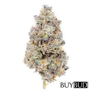 Zkittlez Cannabis