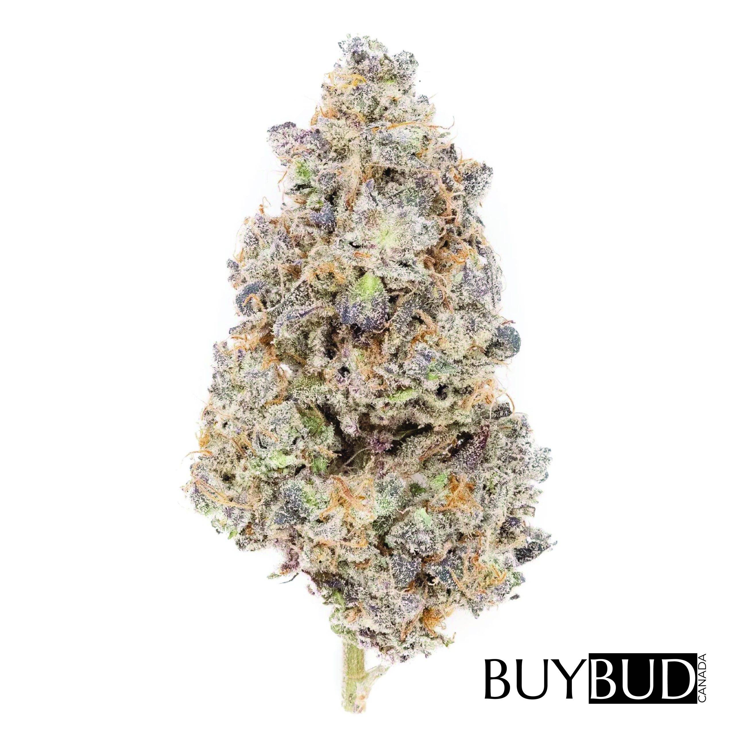 Zkittlez Cannabis