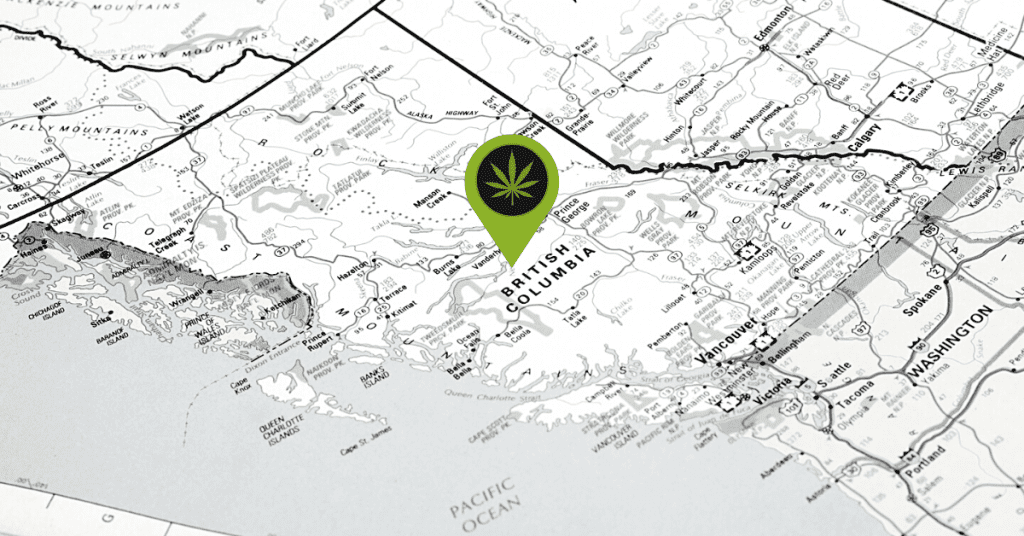 Buy Bud Canada BC Guide