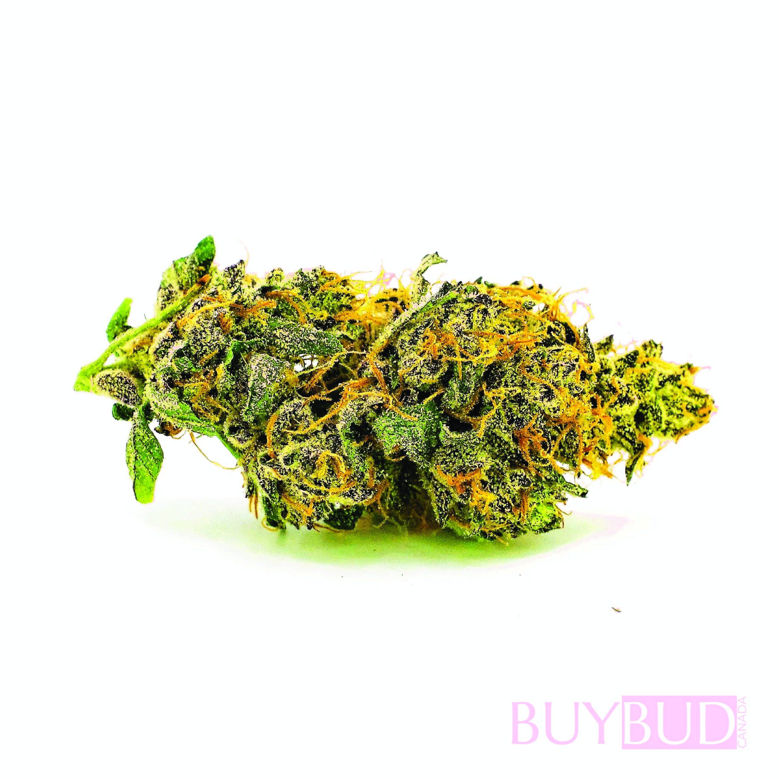 goombay cannabis