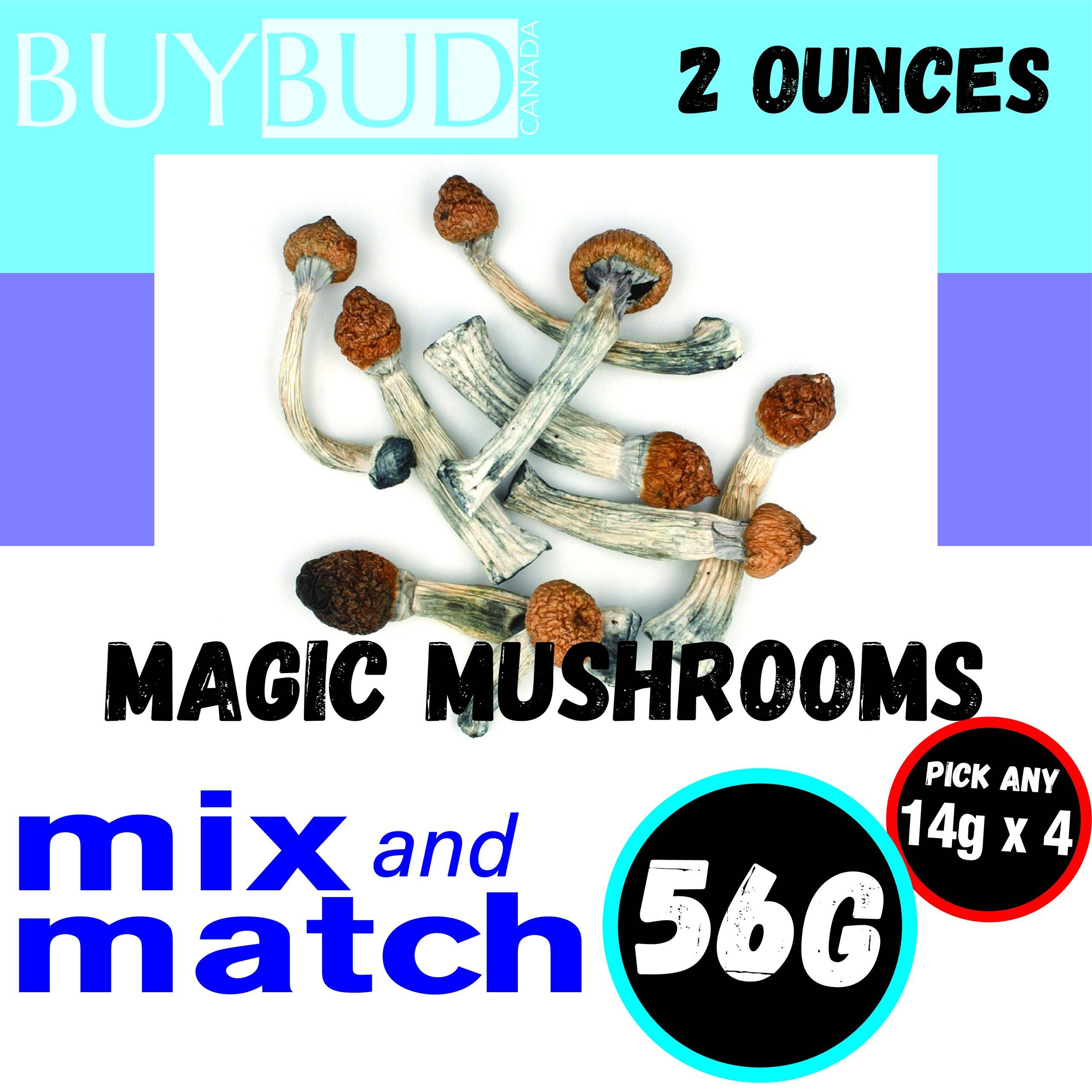 Magic Mushrooms 2 Oz