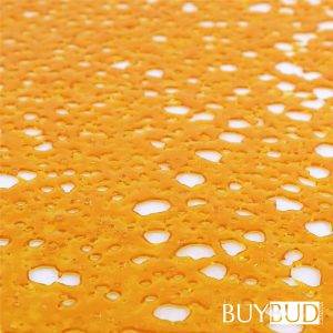 headband shatter