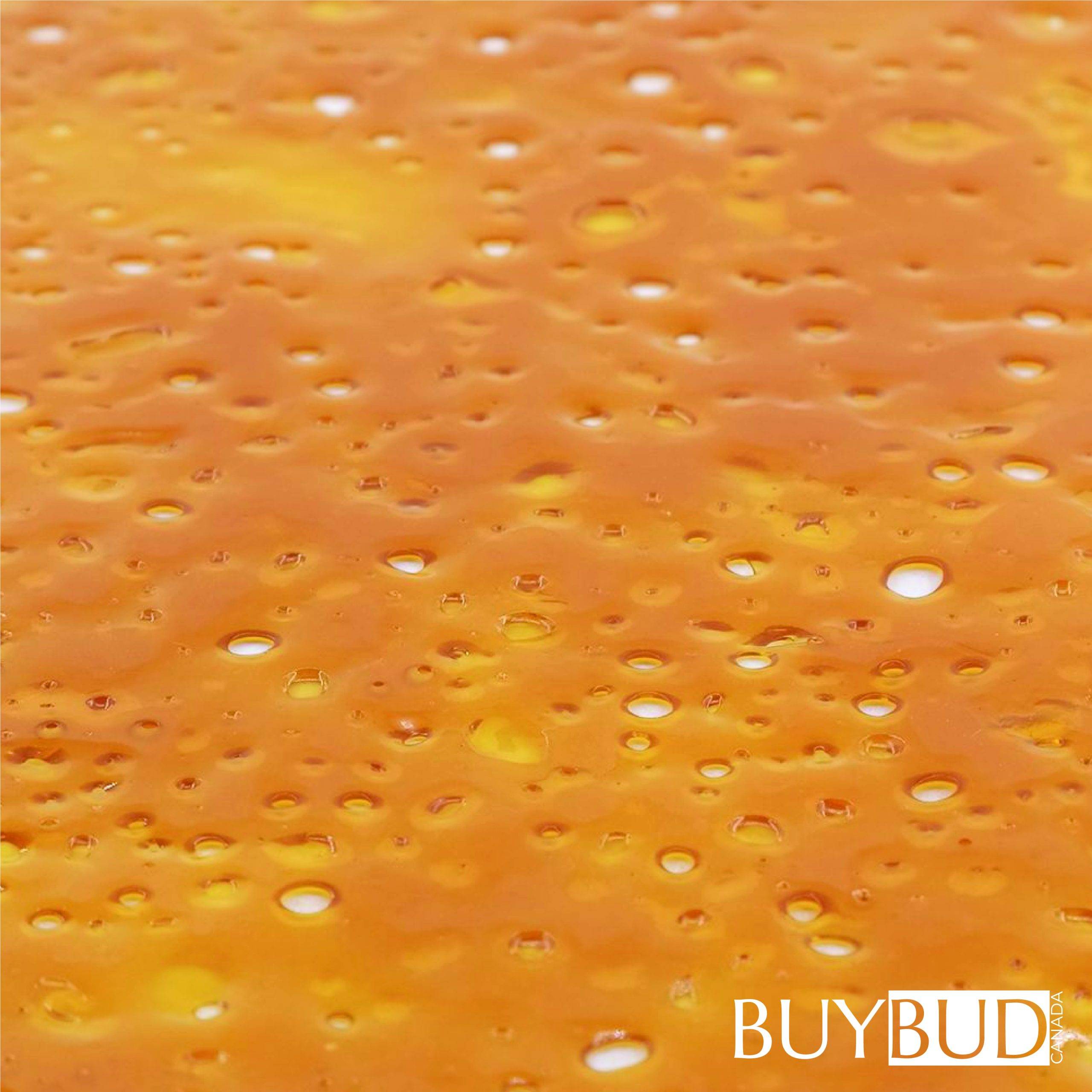 master kush shatter