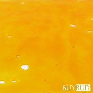 House Shatter Maui Wowie