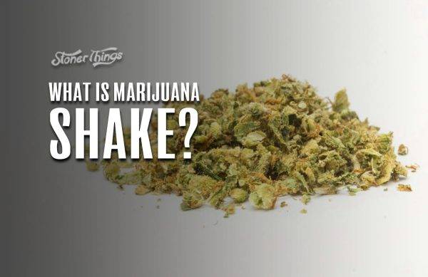 what is shake