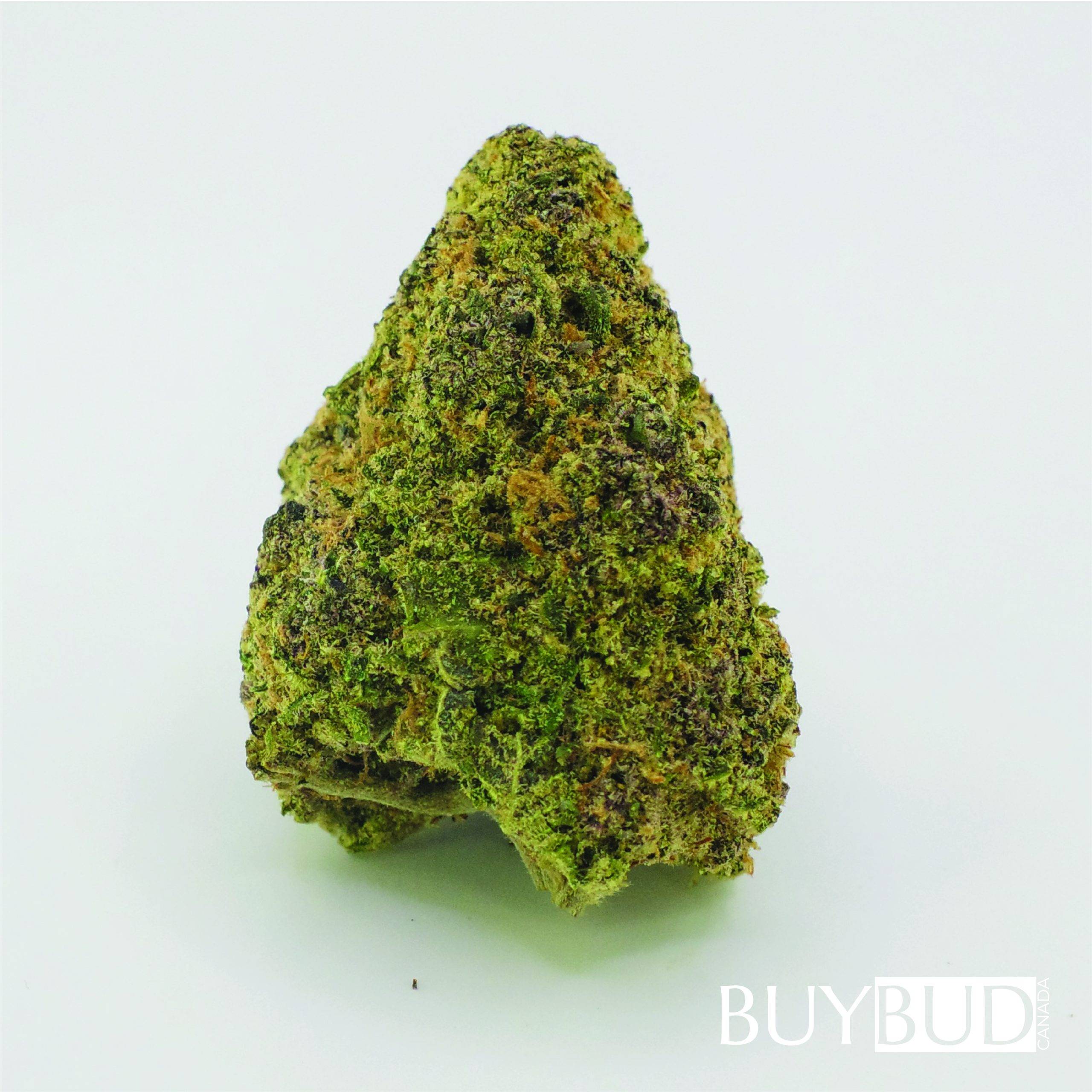ice wreck cannabis