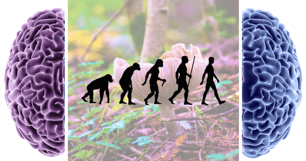 The Ultimate Trip: Did Magic Mushrooms Spark Human Consciousness