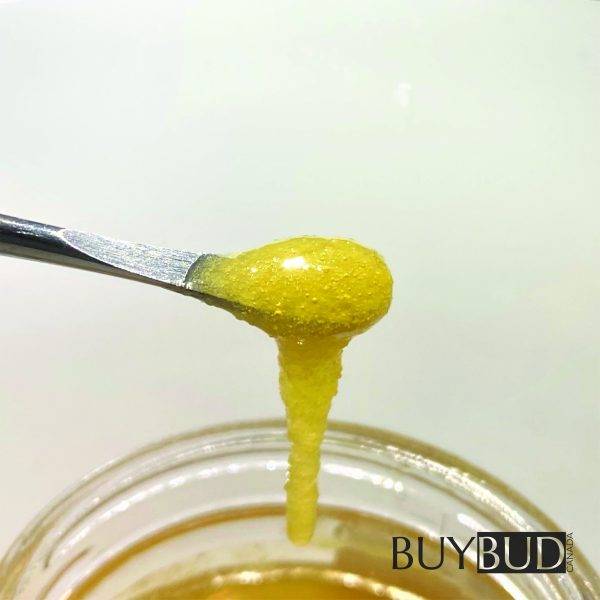island pink terp sauce