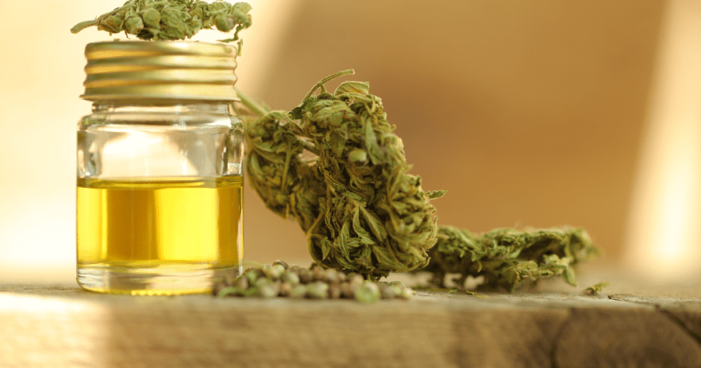 shatter airtight storage | buy bud canada