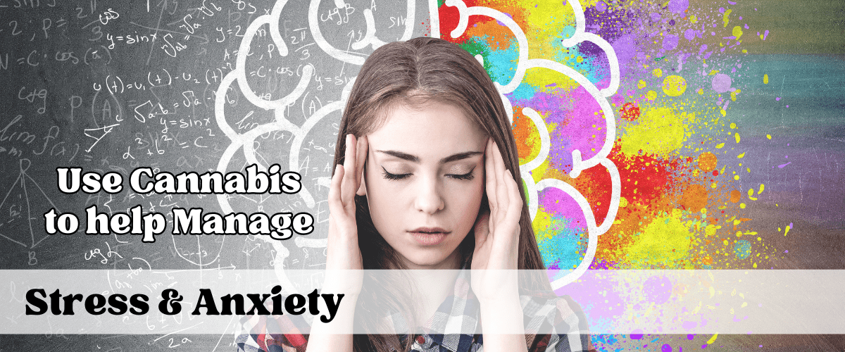 girl who is stressed with brain logo background | stress and anxiety management with cannabis - buy bud canada