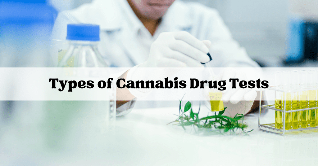 cannabis drug tests | buy bud canada