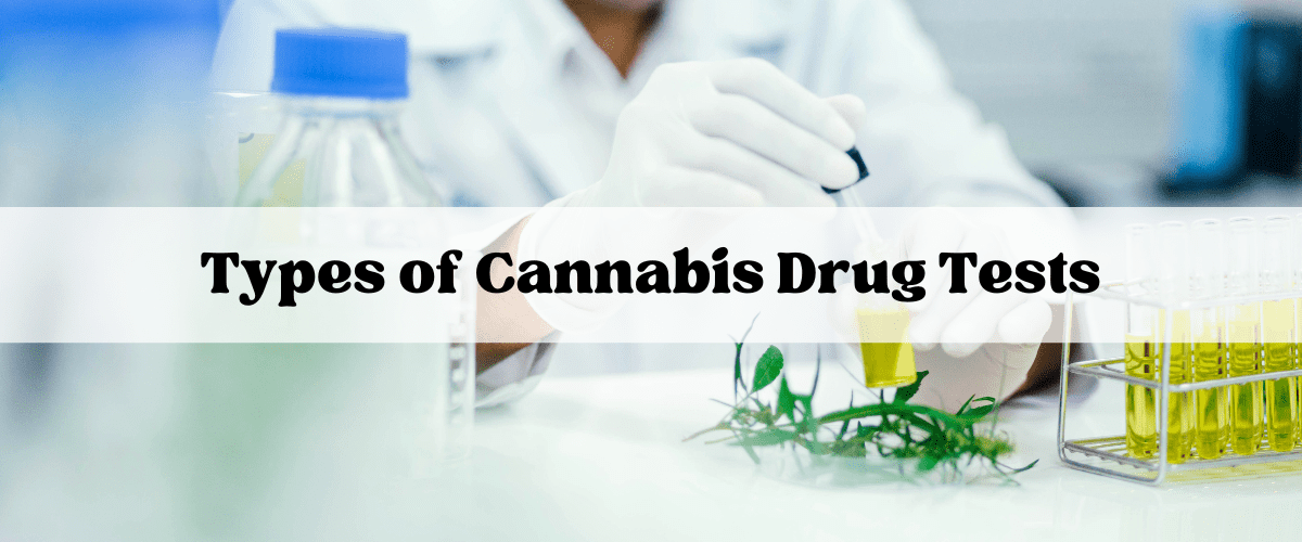 cannabis drug tests | buy bud canada