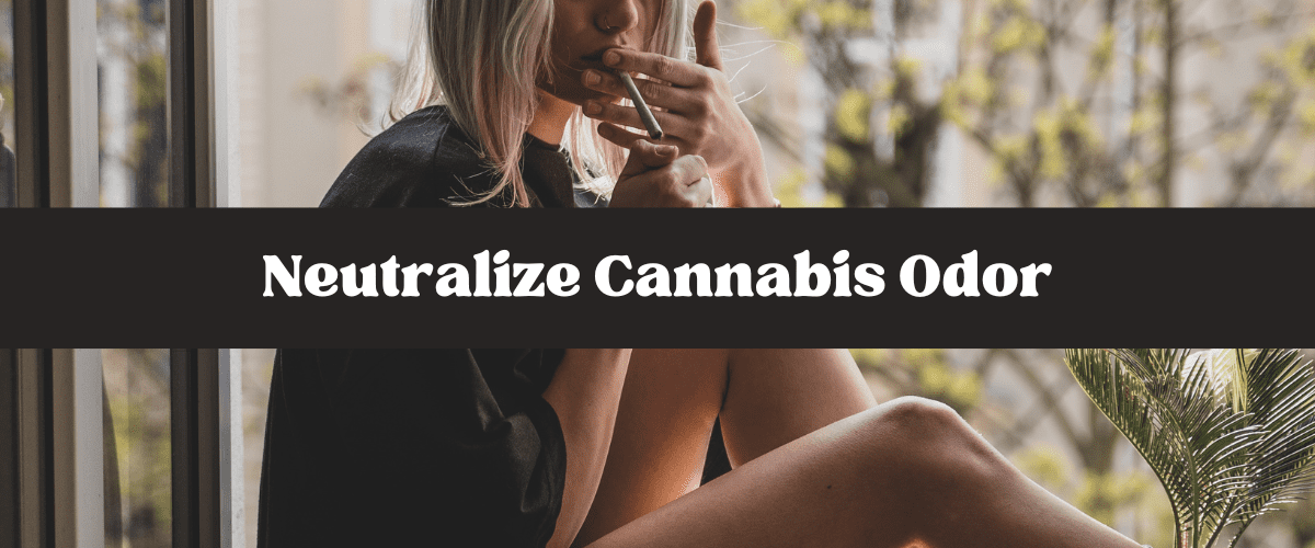 neutralize cannabis smell
