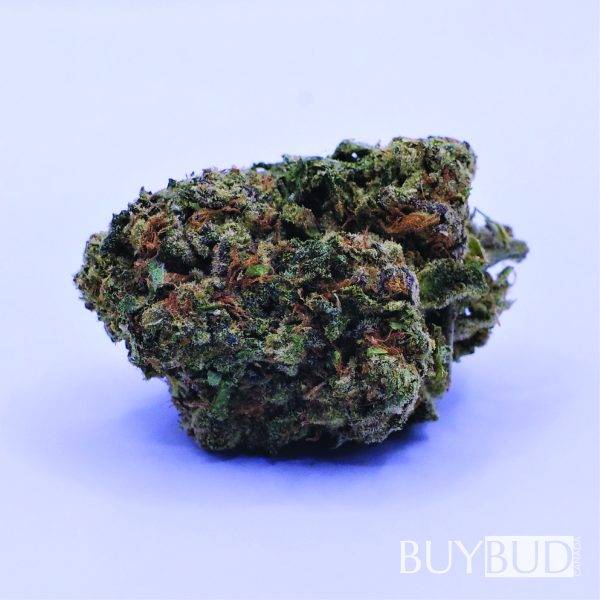 jet fuel cannabis