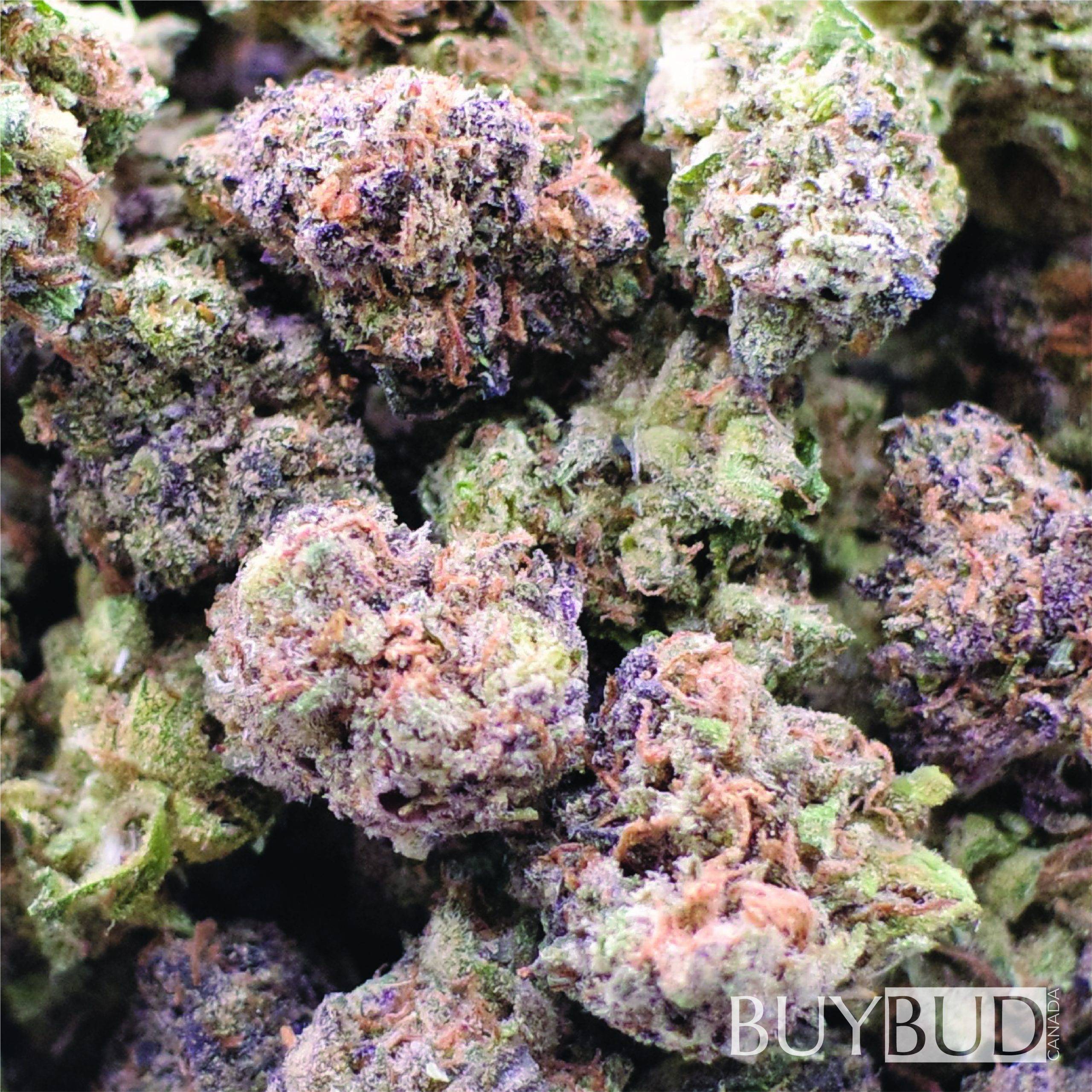blue fire popcorn cannabis