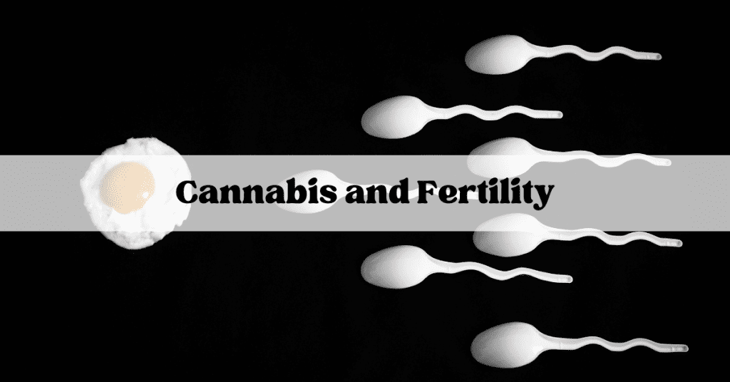 cannabis and fertility