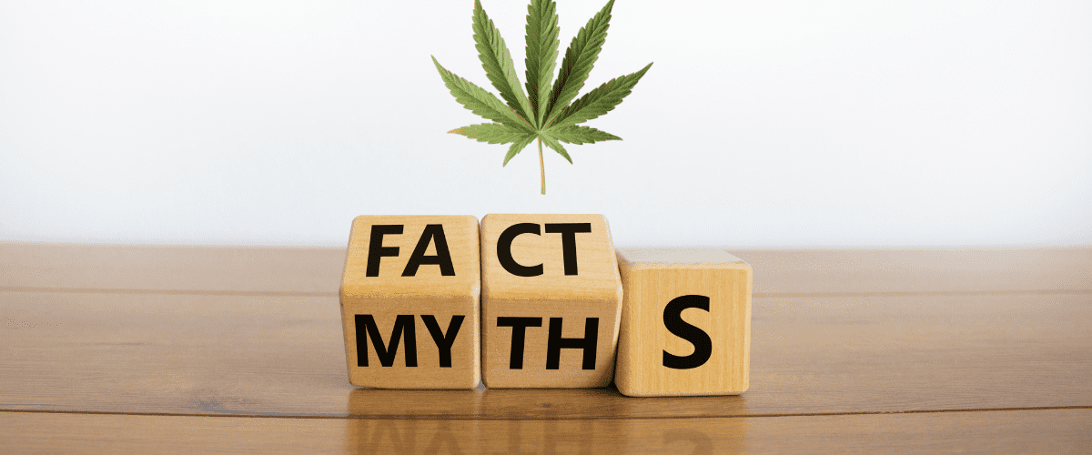 cannabis myths