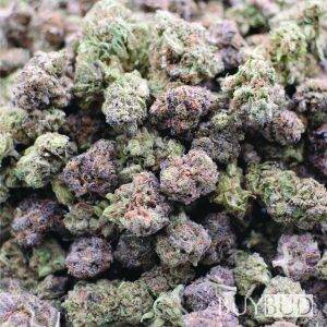 purple punchsicle cannabis
