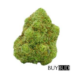 cookies kush cannabis