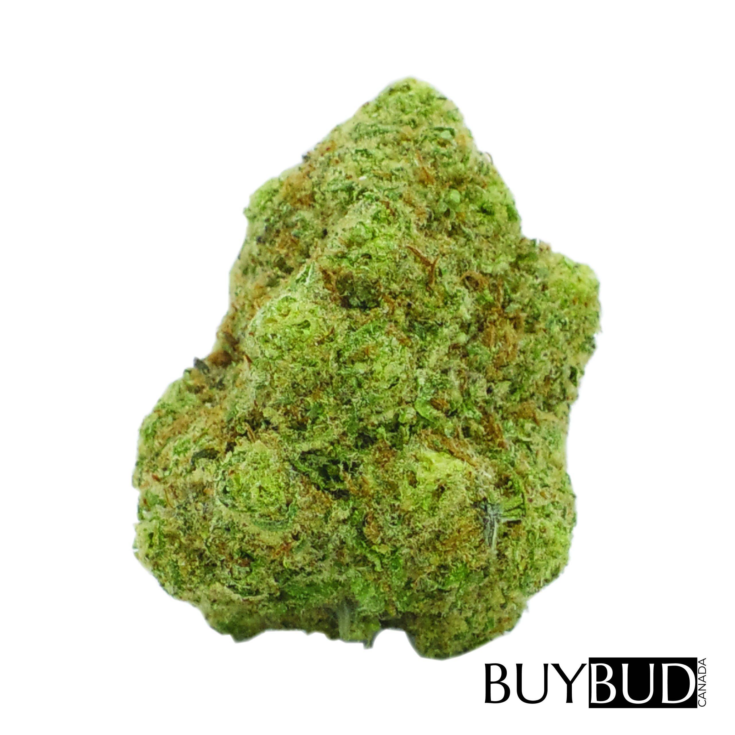 cookies kush cannabis
